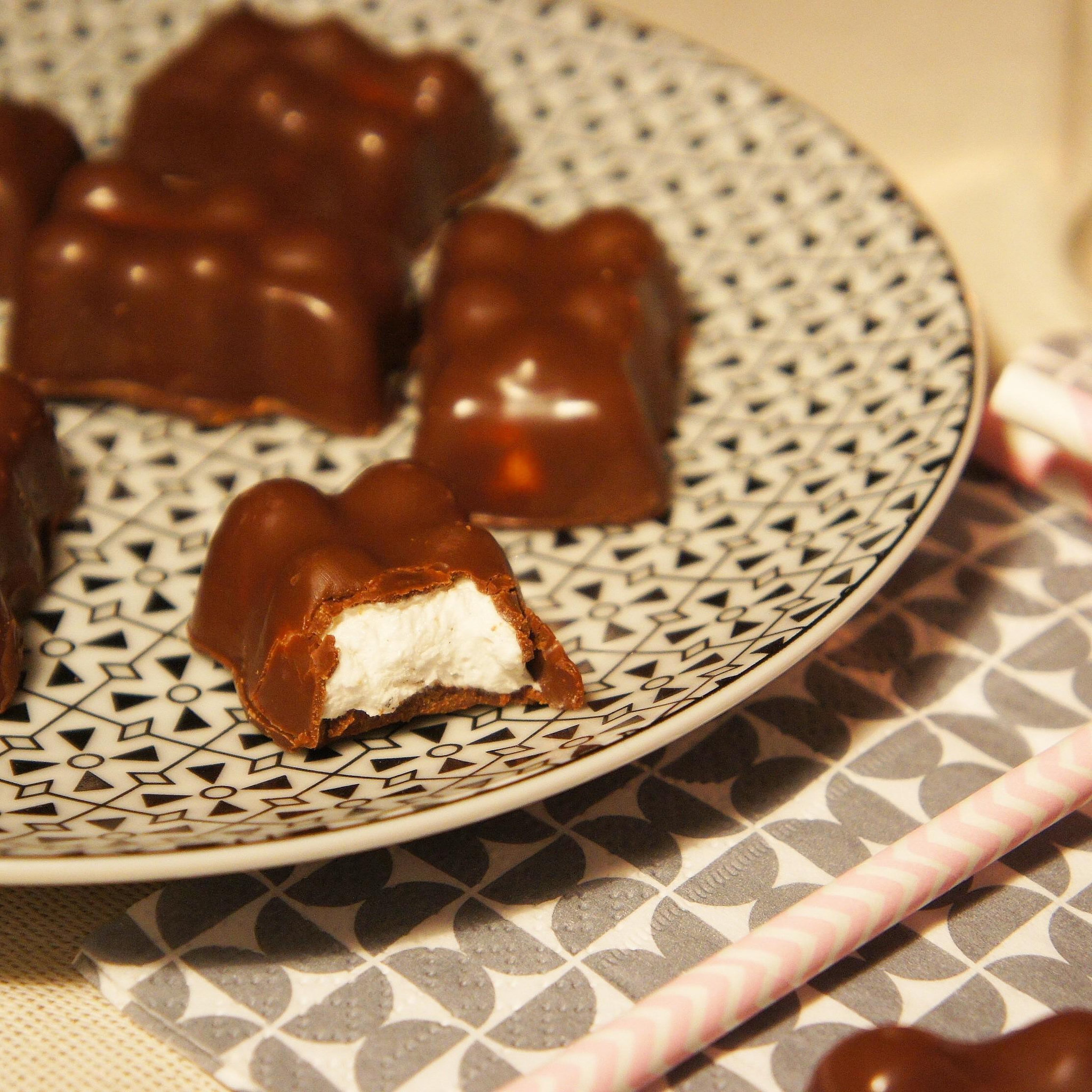 Voir la diapositive 6 : SCRAPCOOKING Moules oursons guimauve-chocolat
