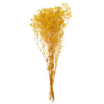 Paris Prix Bouquet de Fleurs Artificielles  Gypsophile  81cm Ocre