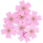 RICO DESIGN Confettis fleur de cerisier - feutrine or et rose foncé