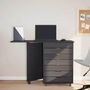 Voir la diapositive 3 : VIDAXL Armoire roulante avec bureau MOSS gris bois de pin solide