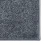 Voir la diapositive 4 : VIDAXL Tapis a poils courts 80x150 cm Anthracite