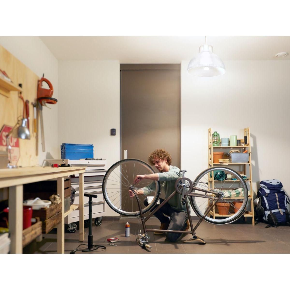 Philips Ampoule LED connectée HUE White E27 100W