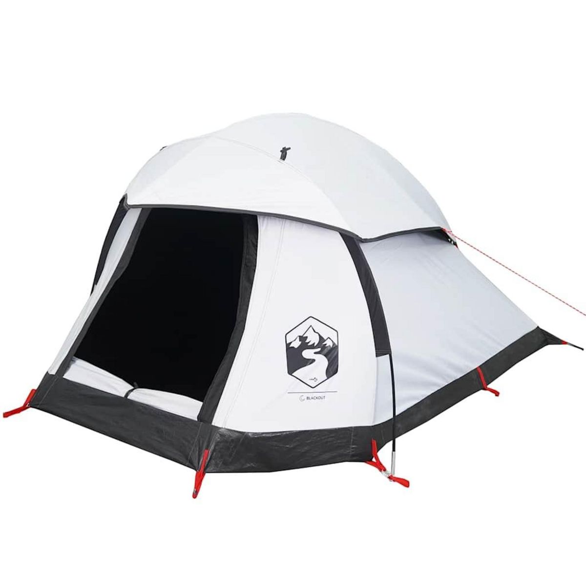 VIDAXL Tente de camping a dome 1 personne tissu occultant impermeable