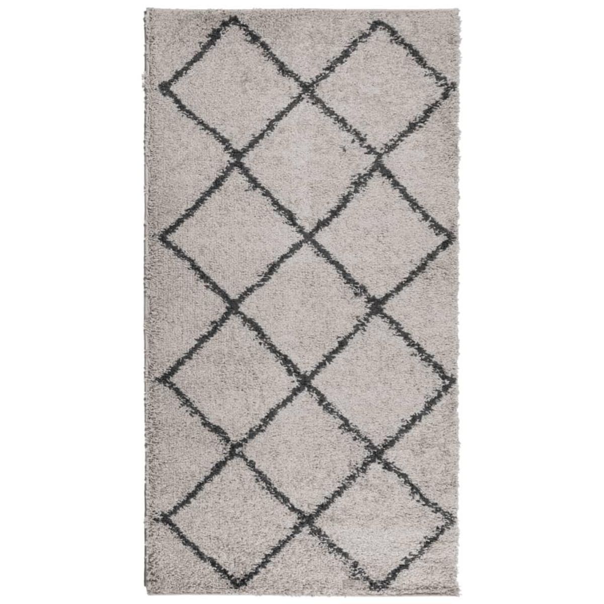 VIDAXL Tapis shaggy a poils longs moderne beige anthracite 80x150 cm