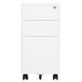Voir la diapositive 2 : VIDAXL Classeur mobile Blanc 30x45x59 cm Acier