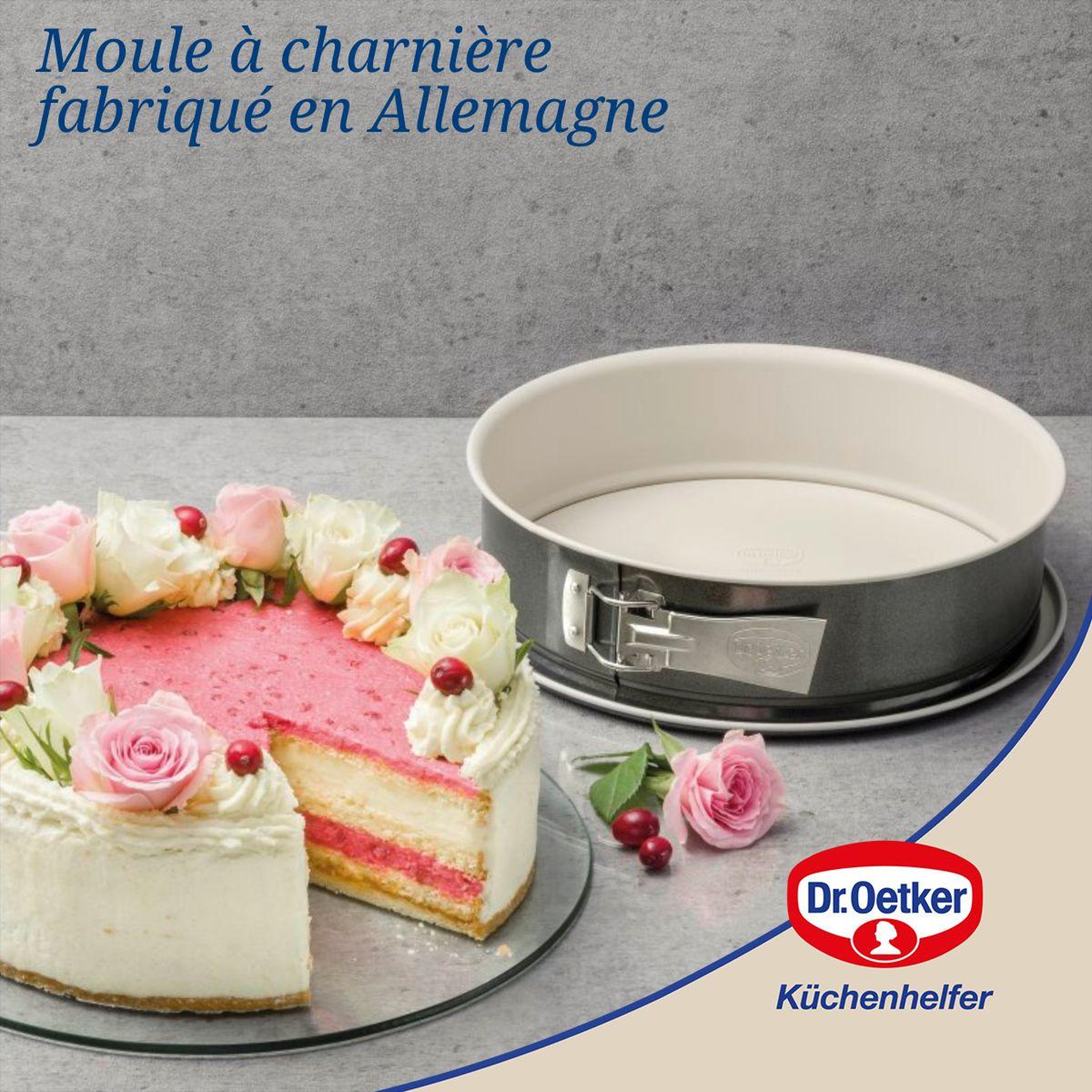 Voir la diapositive 2 : DR.OETKER Lot de 2 moules à gâteaux 28/28 cm en acier dr oetker back-trend