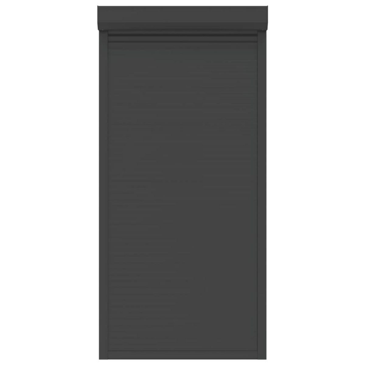 VIDAXL Volet roulant aluminium 100x210 cm anthracite