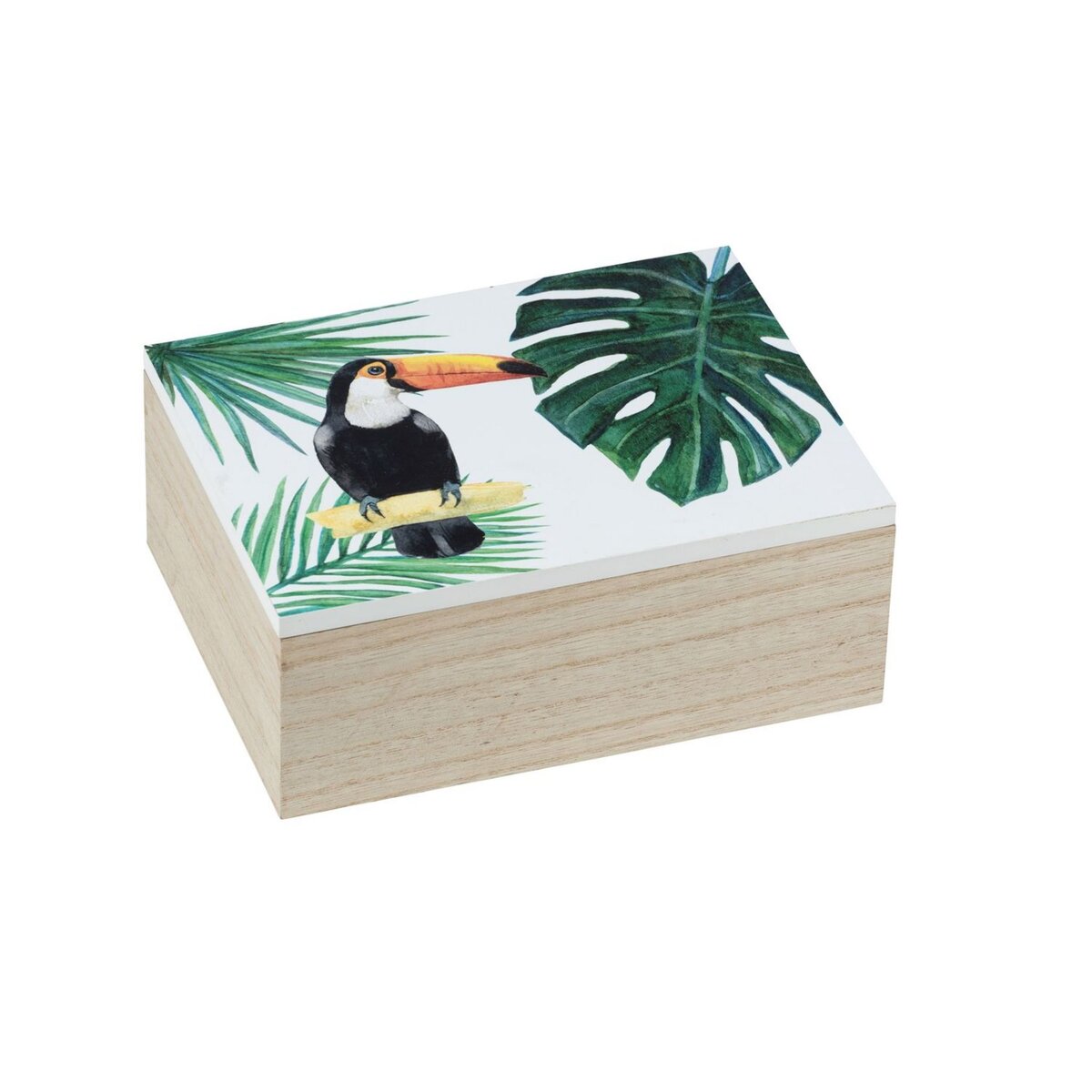 Wenko Boîte de rangement tropicale Tucan - L. 20 x H. 8 cm - Vert
