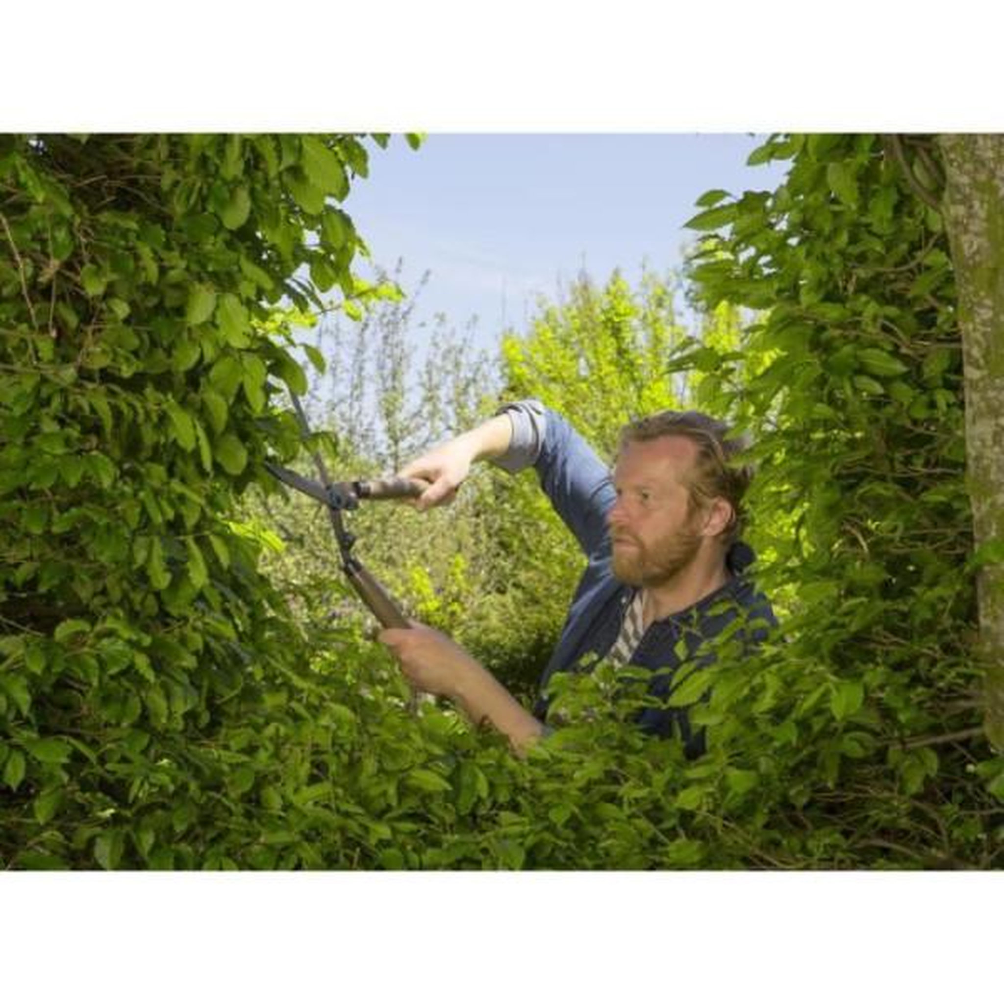 Voir la diapositive 4 : Gardena Cisaille a haies manche bois Gardena