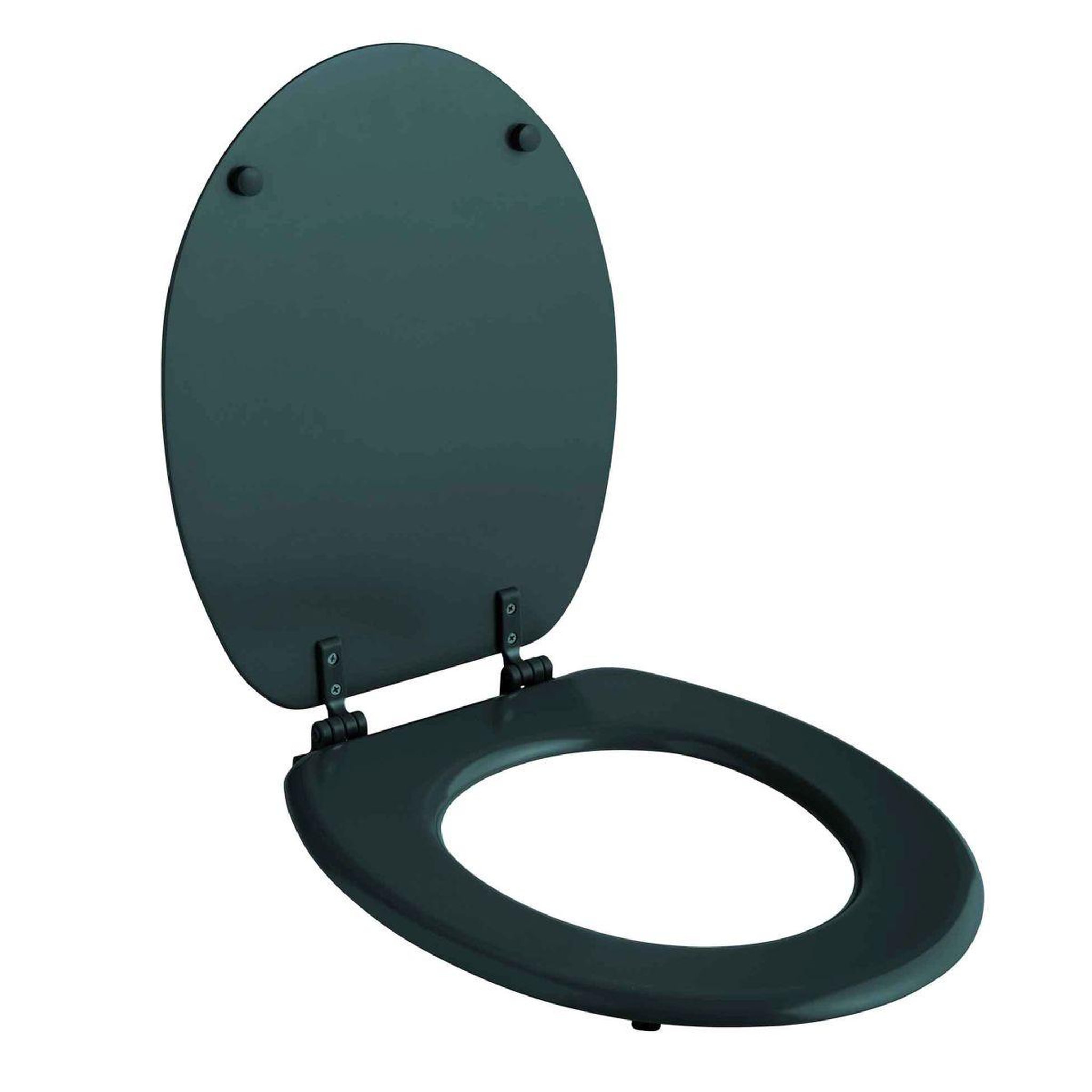 Voir la diapositive 2 : Douceur d'Intérieur Abattant wc uni  vitamine  45cm émeraude
