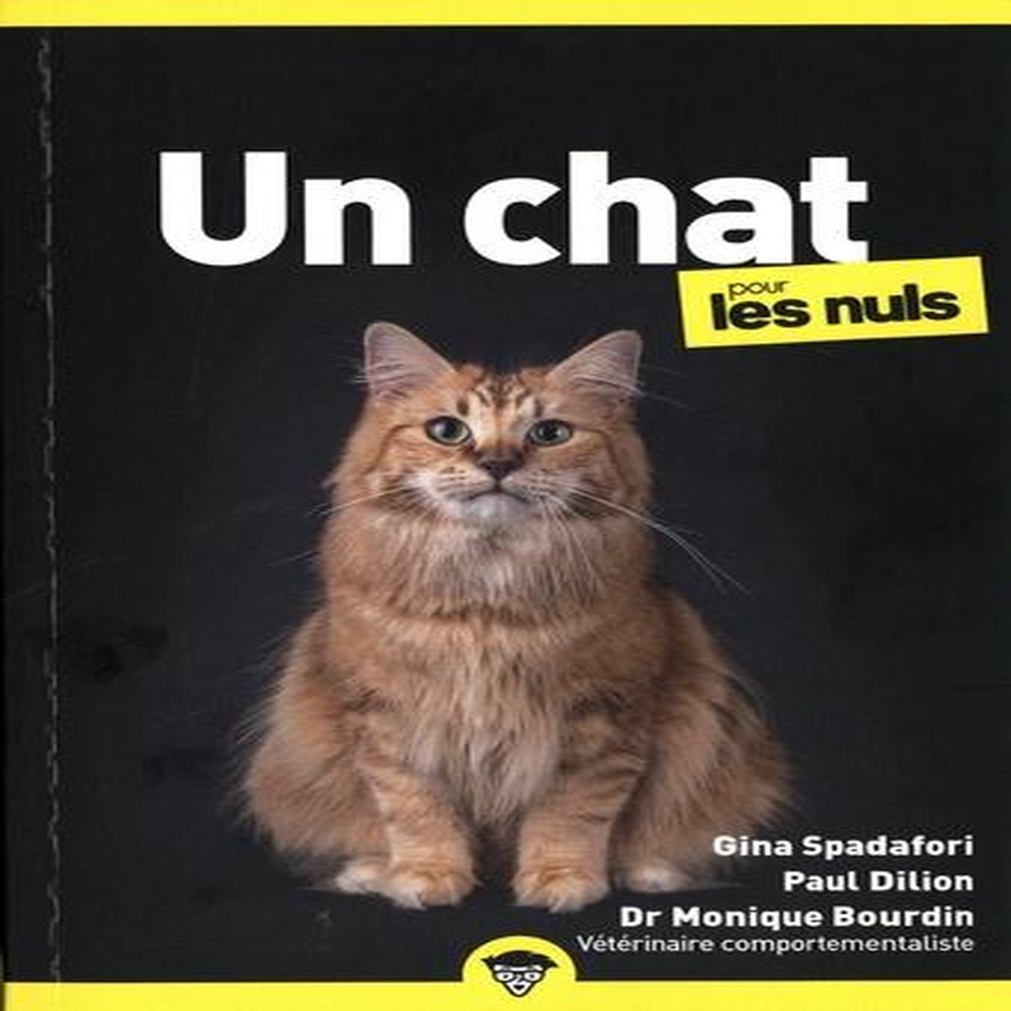 UN CHAT POUR LES NULS, Spadafori Gina