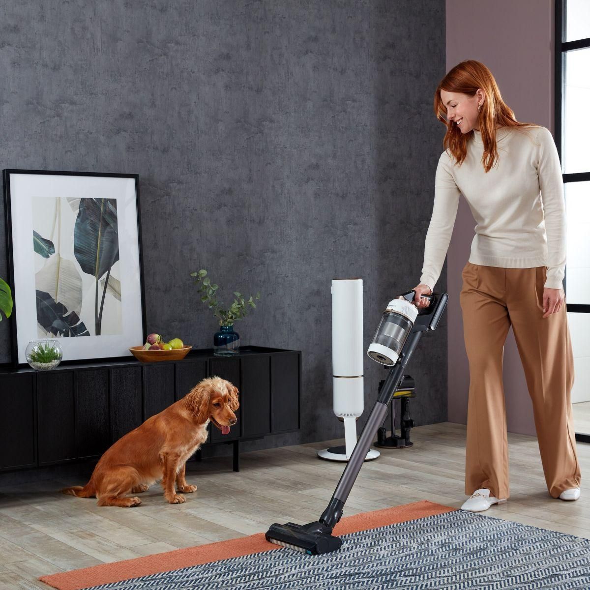 Samsung Aspirateur balai Bespoke Jet Plus complete VS20B95C43W