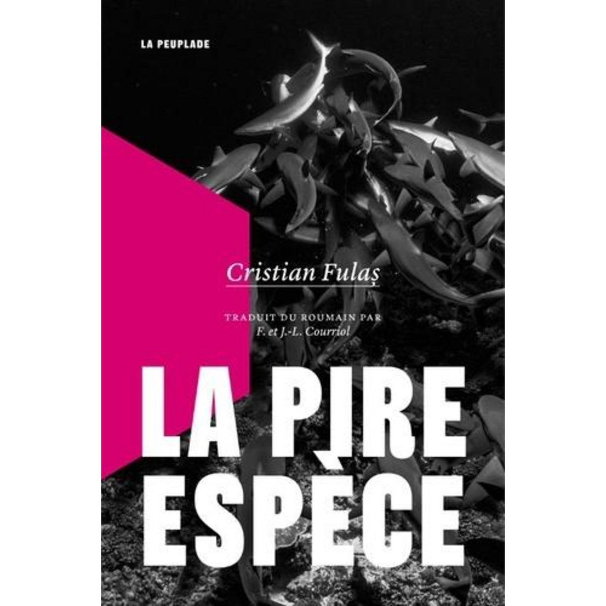 LA PIRE ESPECE, Fulas Cristian