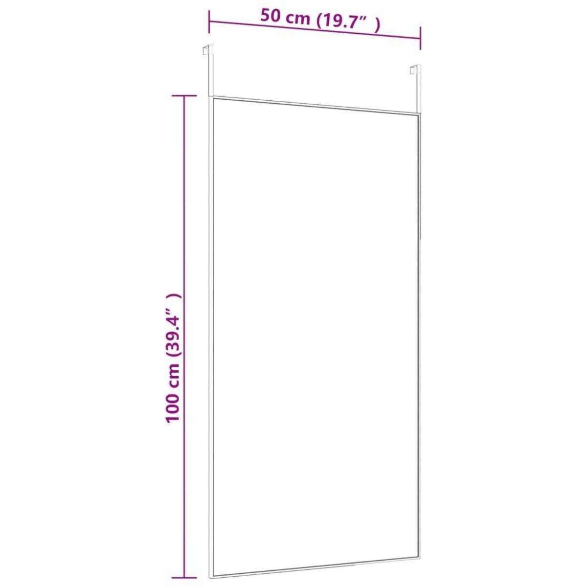 VIDAXL Miroir de porte Dore 50x100 cm Verre et aluminium
