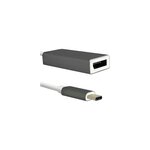 QOLTEC Adaptateur Qoltec USB vers DisplayPort aluminium noir et blanc