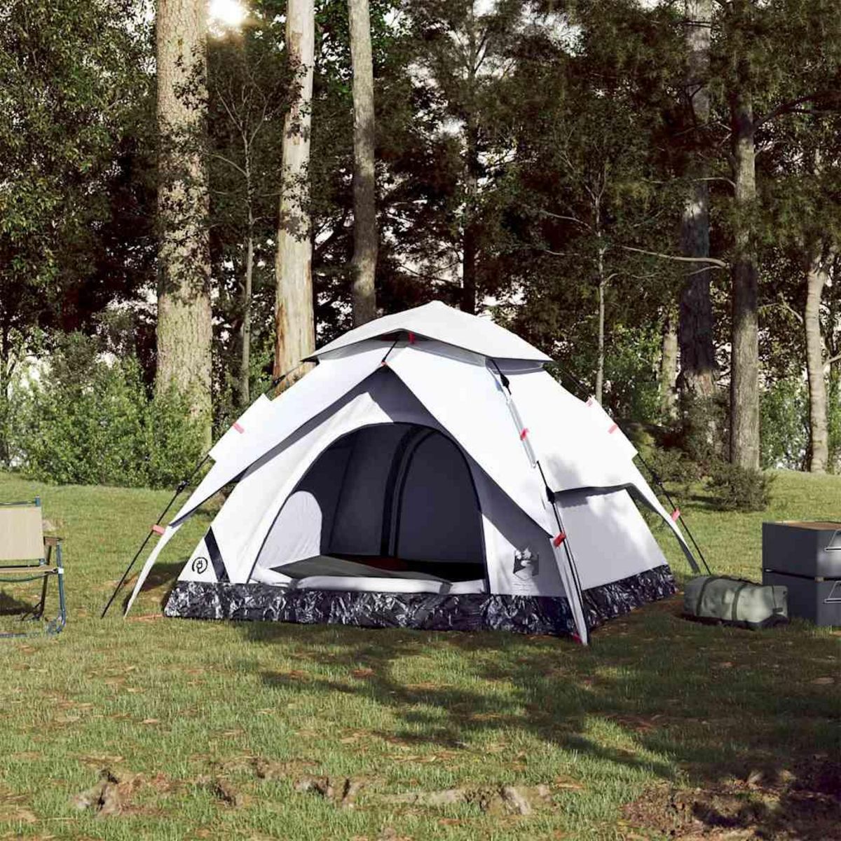 VIDAXL Tente de camping a dome 3 personnes liberation rapide