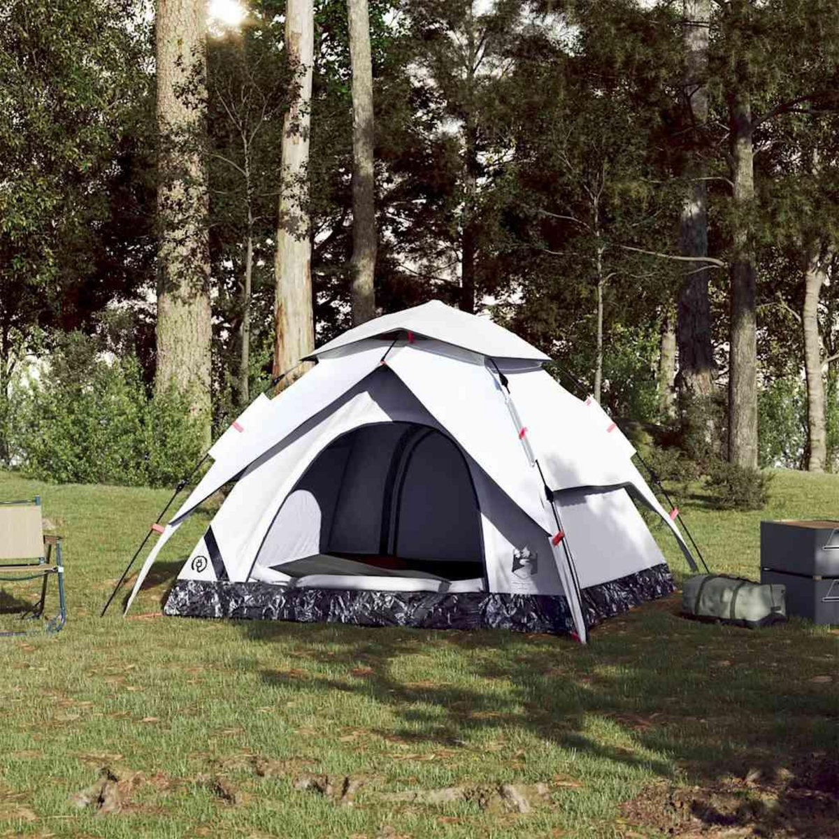 VIDAXL Tente de camping a dome 3 personnes liberation rapide