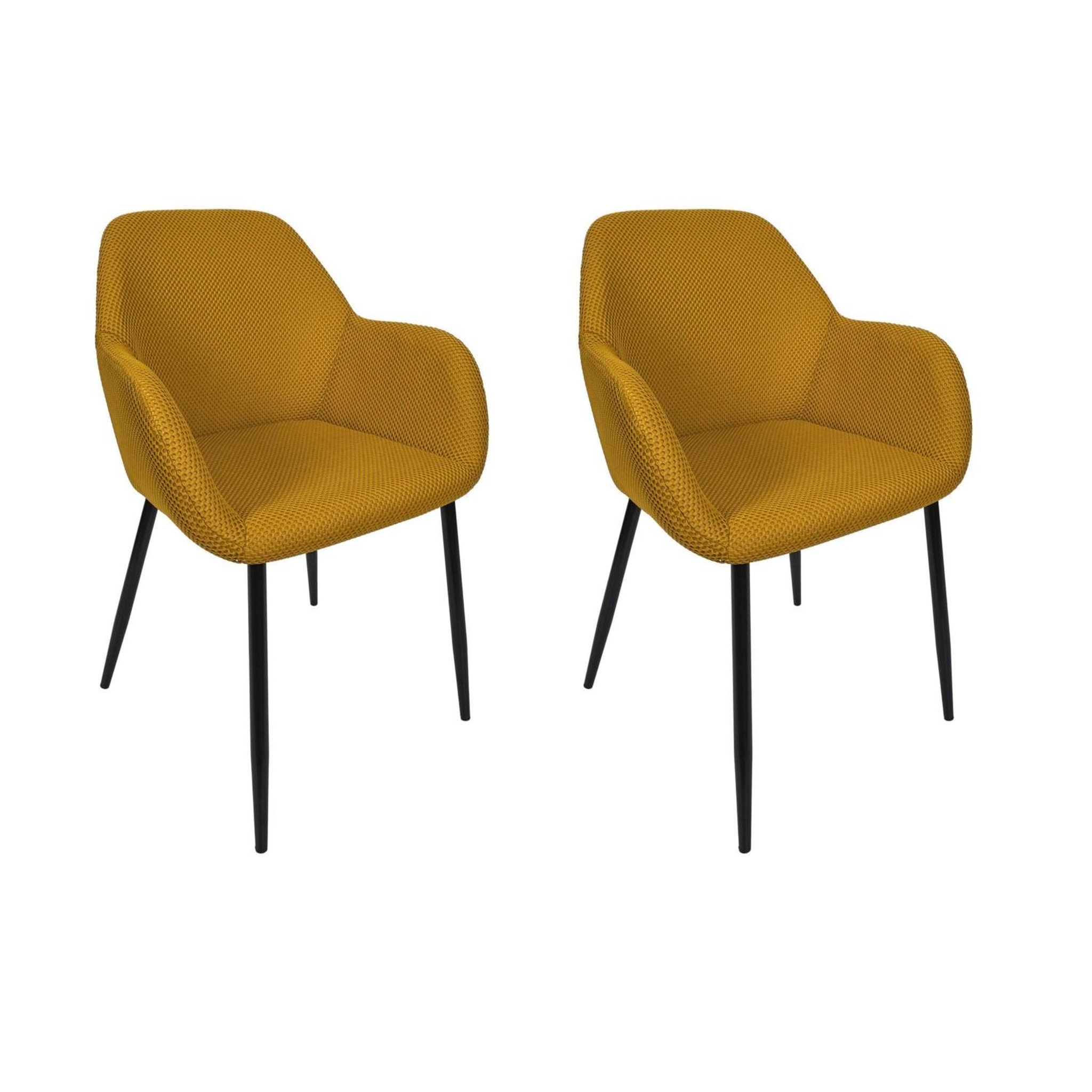 Voir la diapositive 1 : TOILINUX Lot de 2 fauteuils ATOME