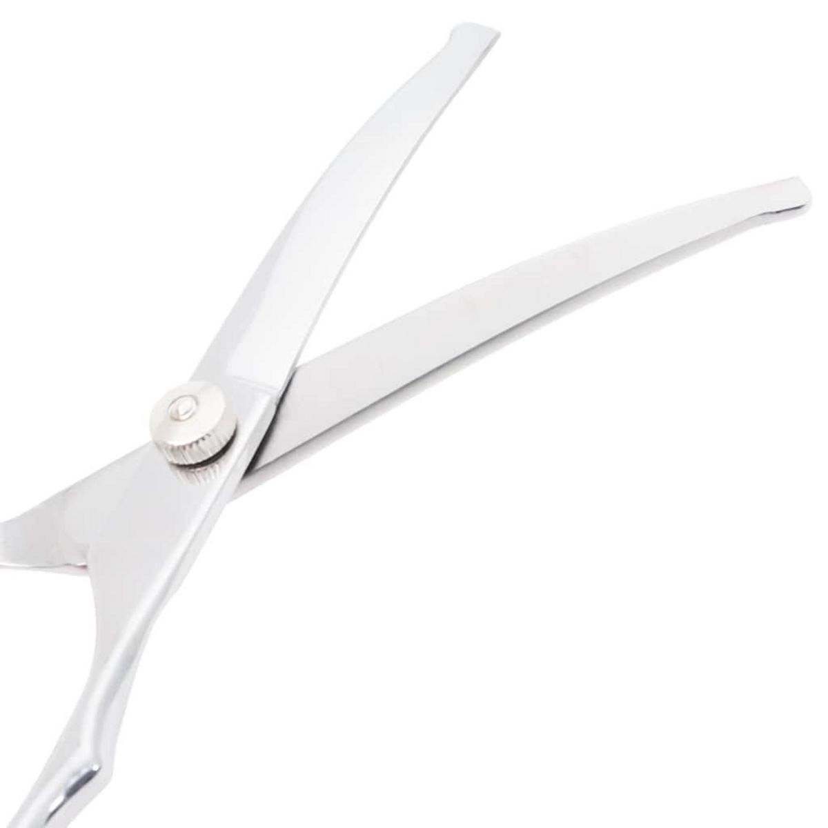 VIDAXL Ensemble de ciseaux de toilettage pour chien 6 pcs