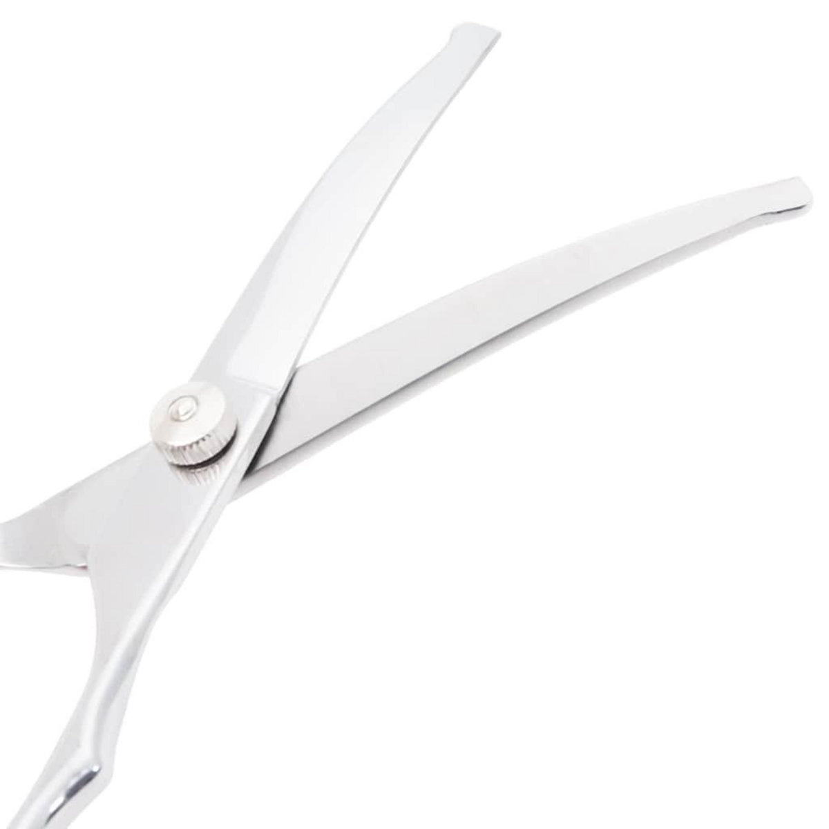 VIDAXL Ensemble de ciseaux de toilettage pour chien 6 pcs