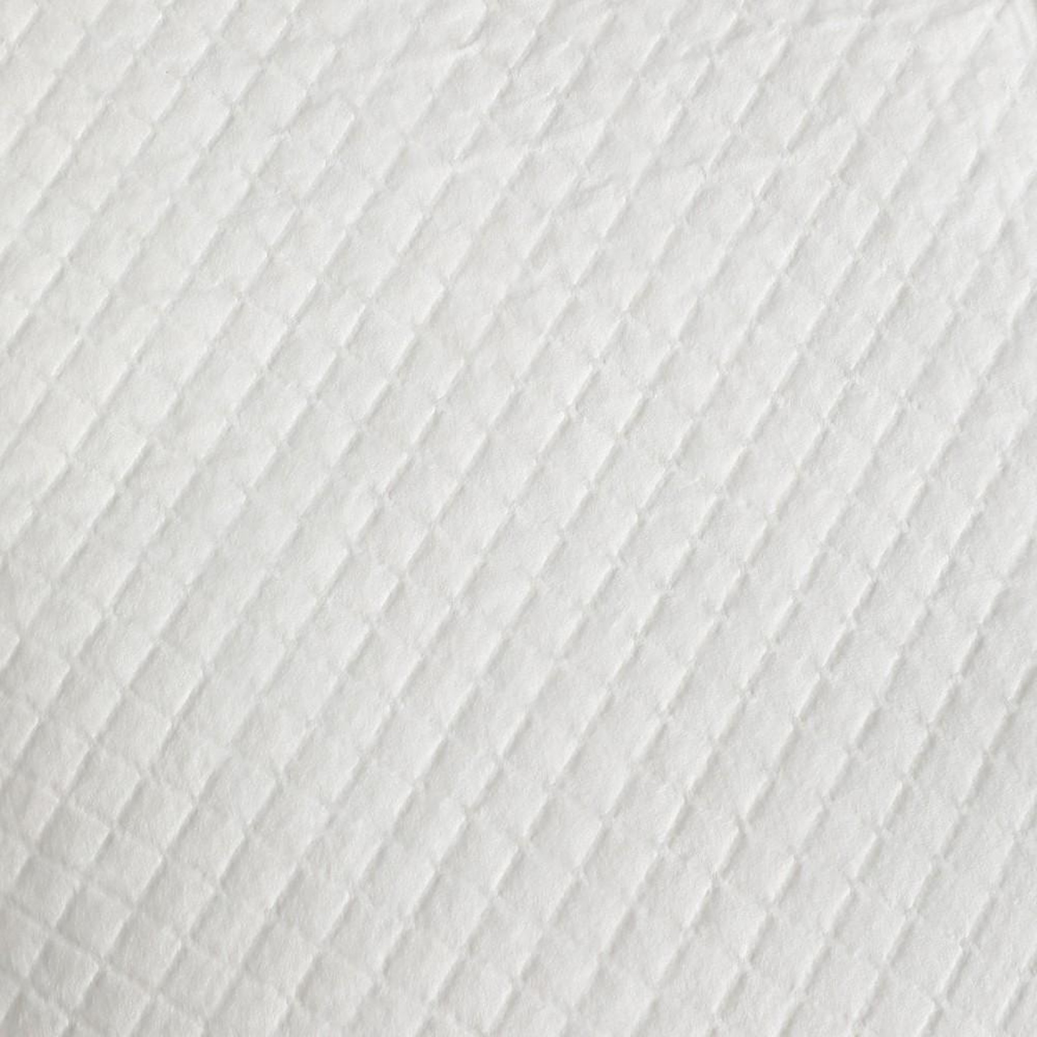 Voir la diapositive 3 : MON AMI LUKI Tapis d'education - tres absorbant pour chien et chat