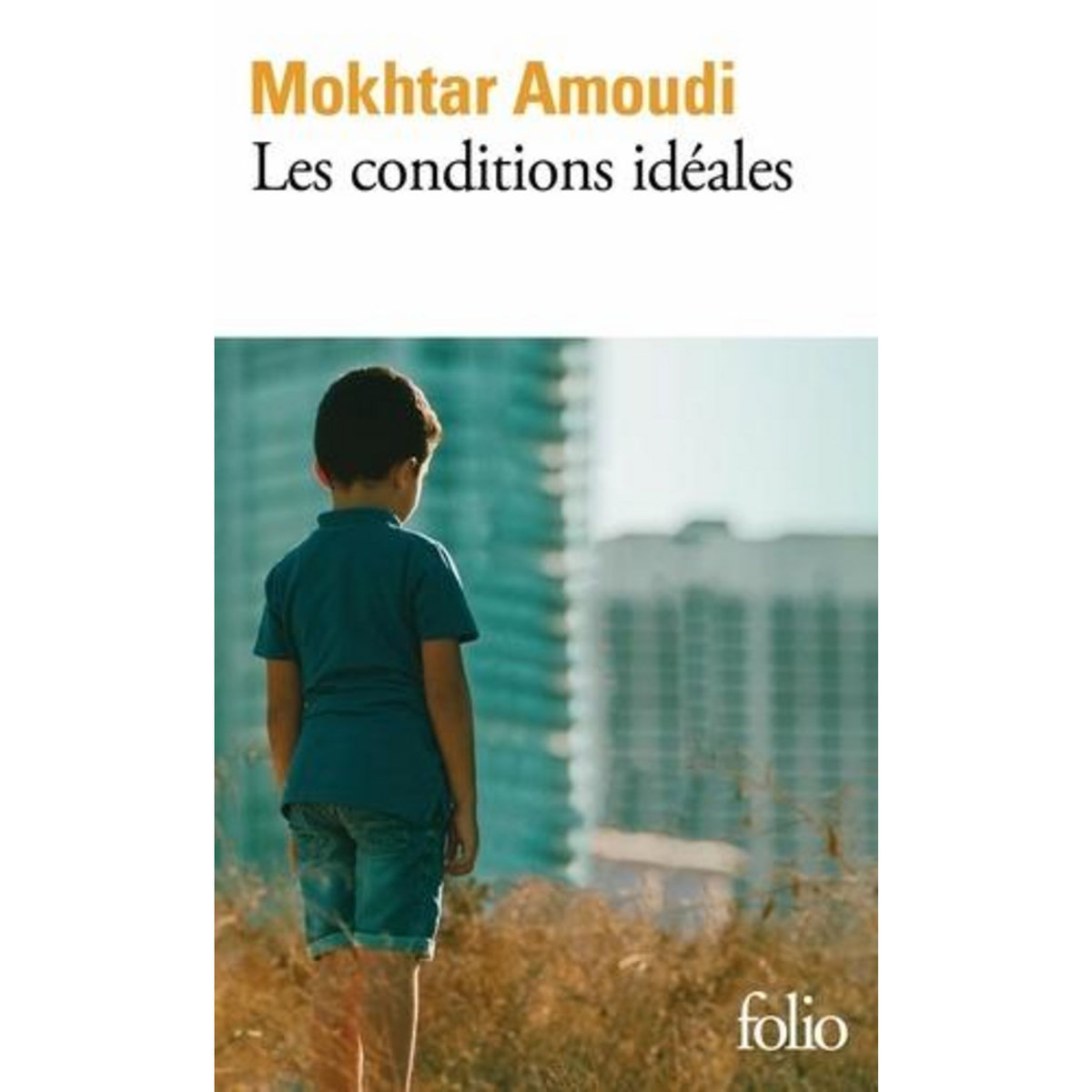 LES CONDITIONS IDEALES, Amoudi Mokhtar