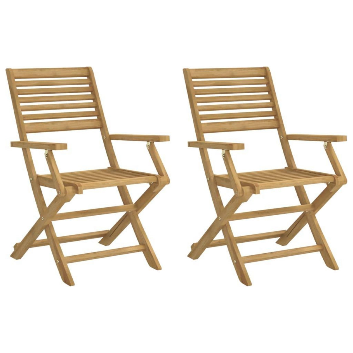 VIDAXL Chaises pliables de jardin lot de 2 bois massif d'acacia