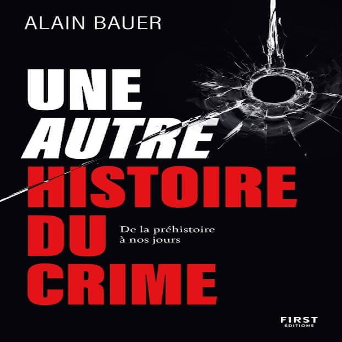 UNE AUTRE HISTOIRE DU CRIME. DE LA PREHISTOIRE A NOS JOURS, Bauer Alain