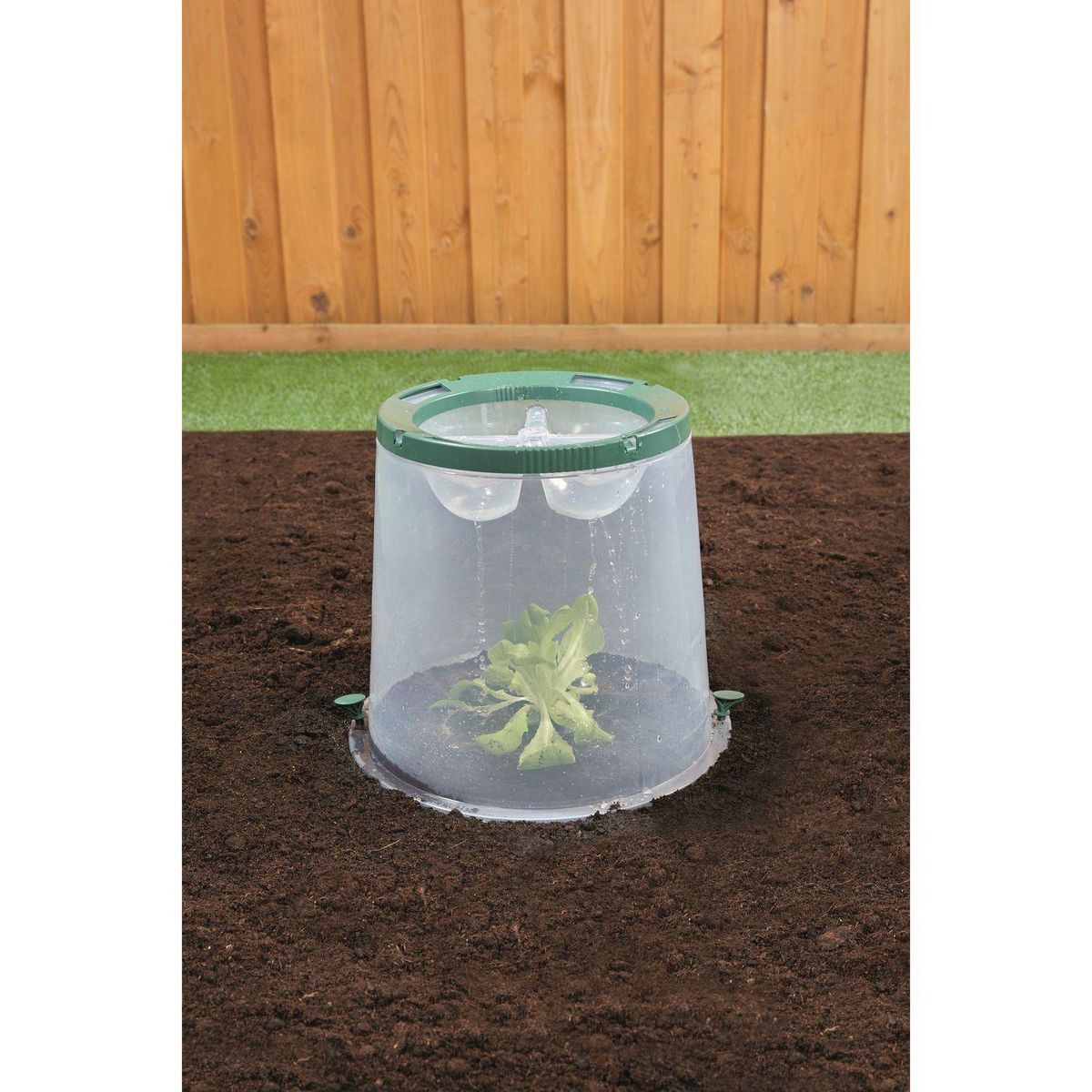 GARANTIA Cloche de Culture Sunny avec 2 Piquets