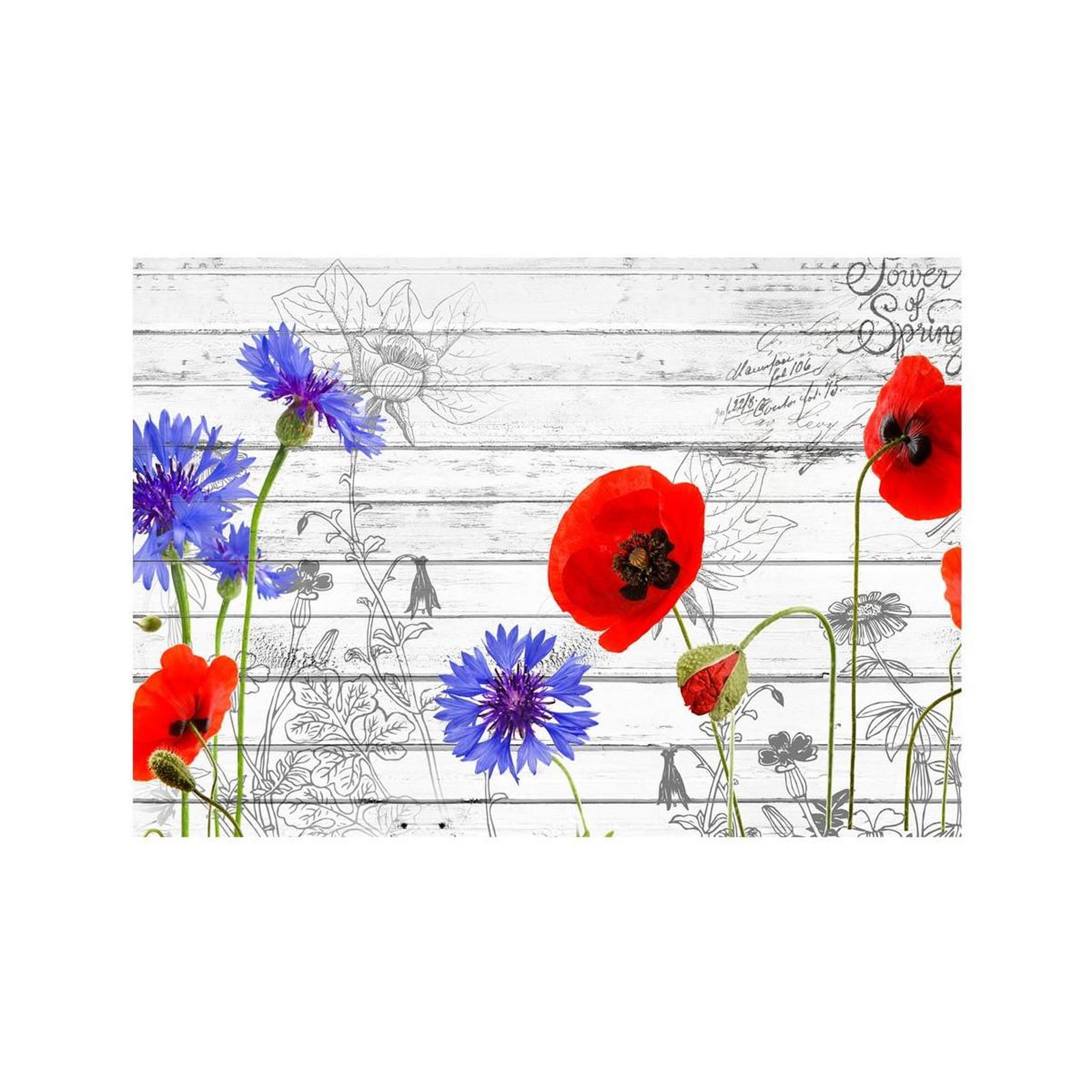 Voir la diapositive 2 : Paris Prix Papier peint  wildflowers
