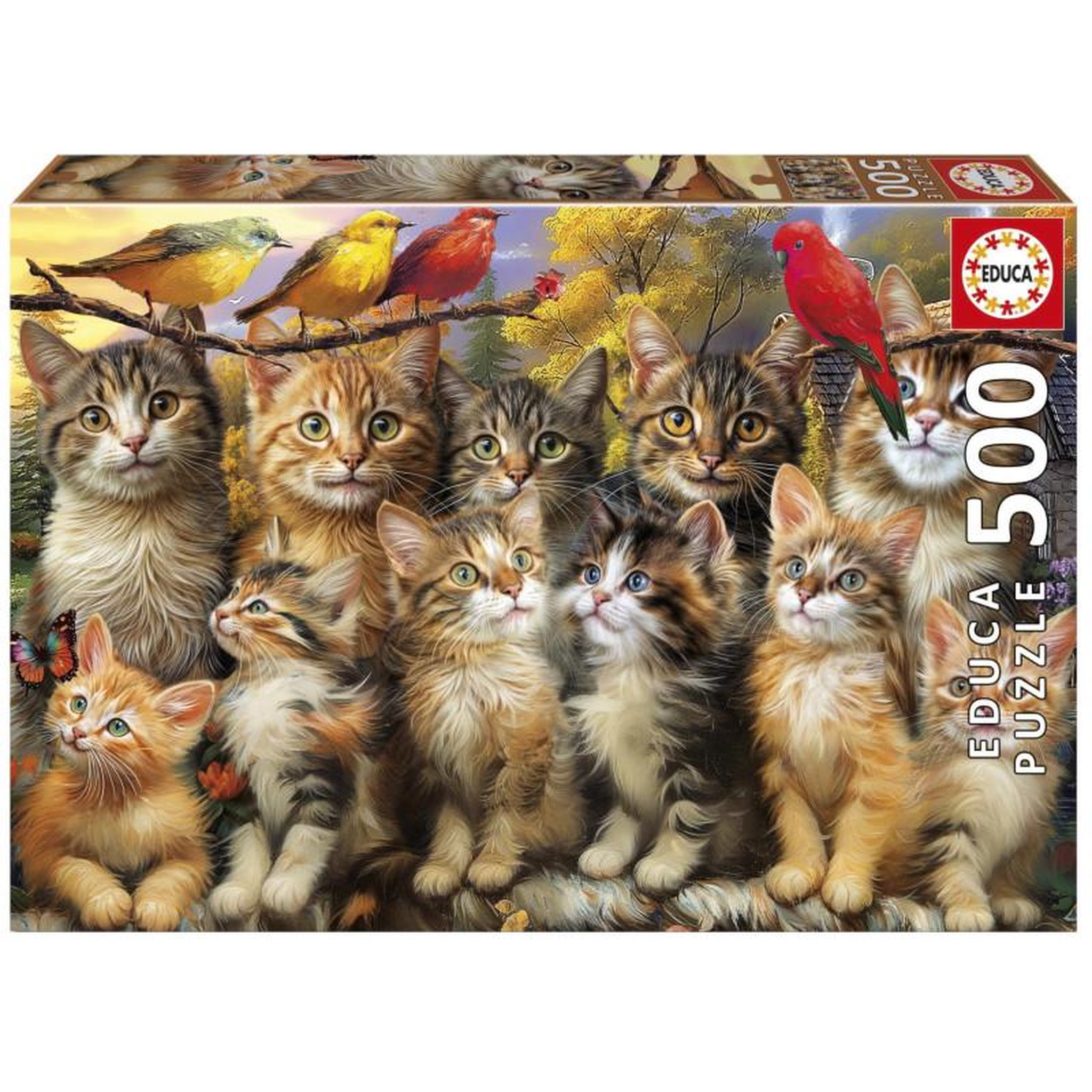 EDUCA Puzzle 500 pièces Chatons et Oiseaux – Adultes et enfants dès 10 ans – Haute qualité – EDUCA