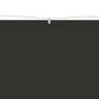 Voir la diapositive 3 : VIDAXL Auvent vertical Anthracite 140x270 cm Tissu oxford