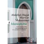 ISLAMOPHOBIE. COMMENT LES ELITES FRANCAISES FABRIQUENT LE  PROBLEME MUSULMAN , Hajjat Abdellali