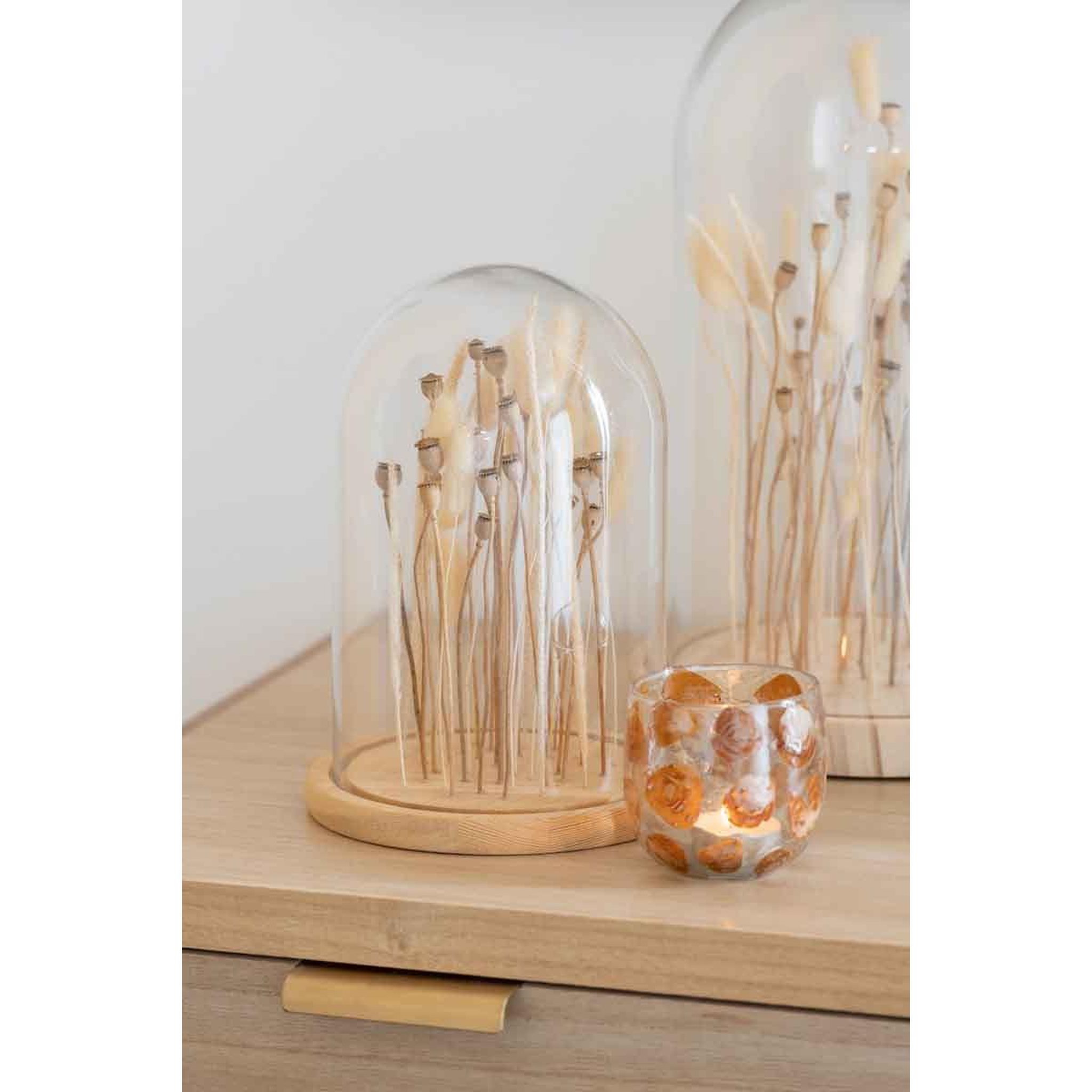 Voir la diapositive 2 : J-LINE Cloche en verre déco  fleurs séchées  38cm écru