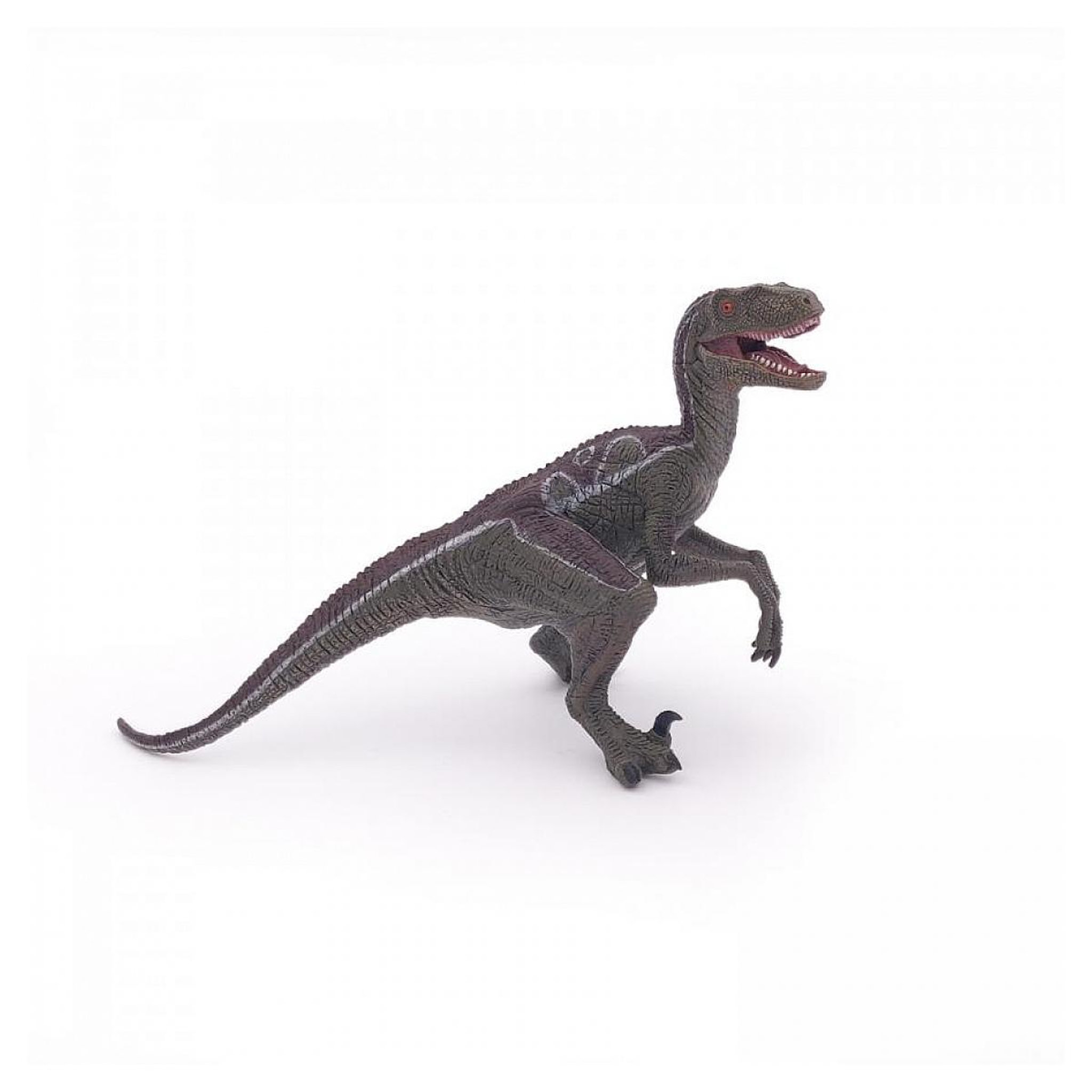 Voir la diapositive 5 : Papo 55023 Vélociraptor dinosaure