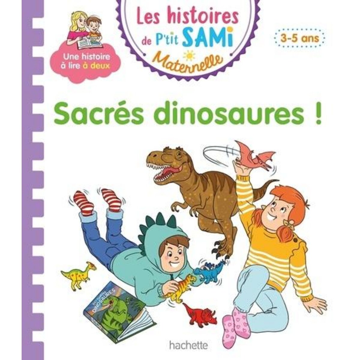 SACRES DINOSAURES !, Boyer Alain