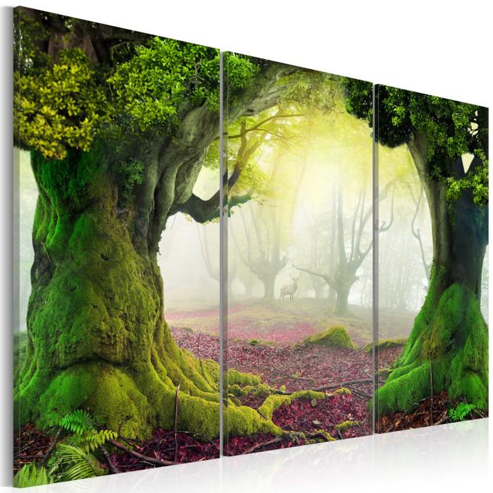 Paris Prix Tableau Imprimé 3 Panneaux  Mysterious Forest. Coloris disponibles : Multicolore