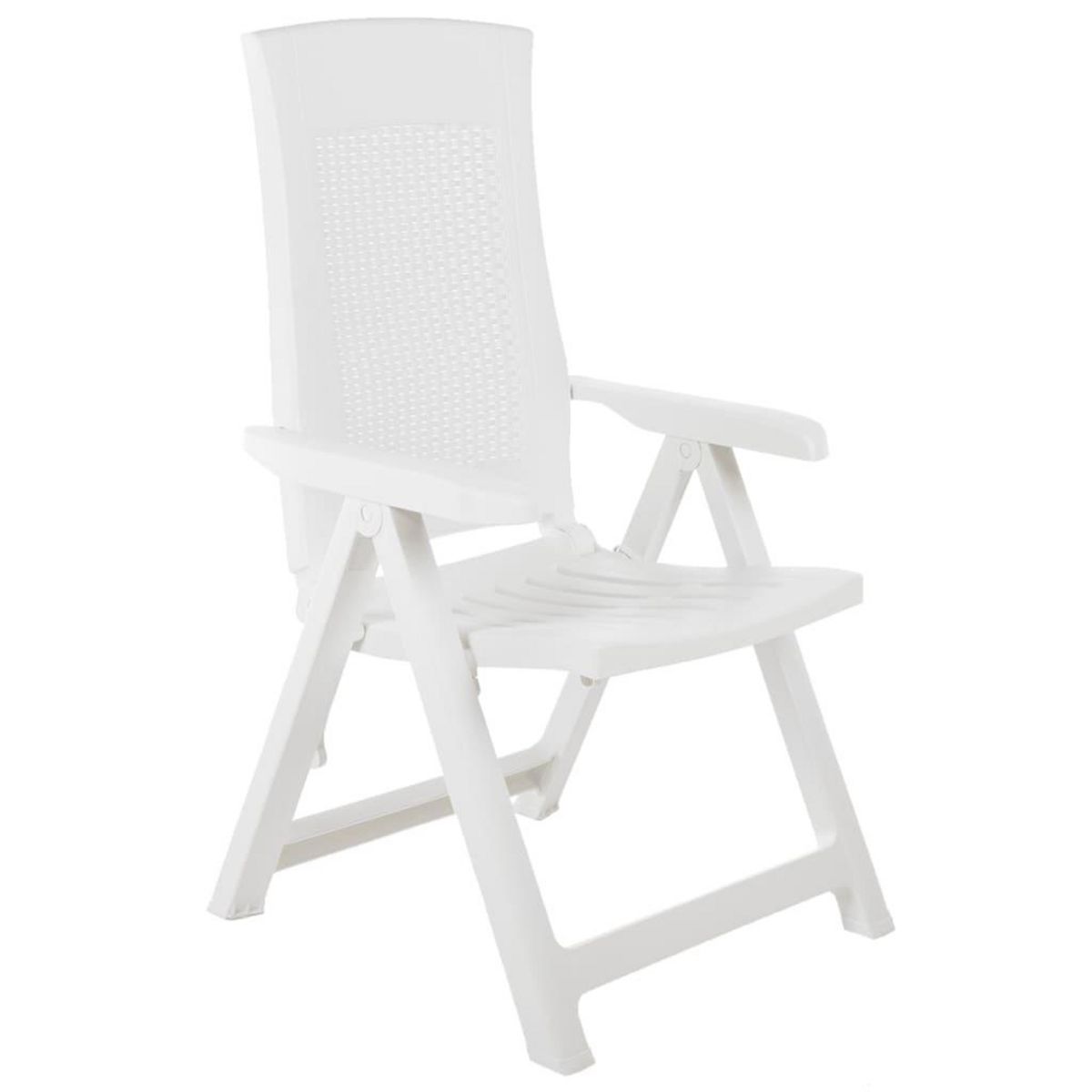VIDAXL Chaises inclinables de jardin lot de 2 Plastique Blanc