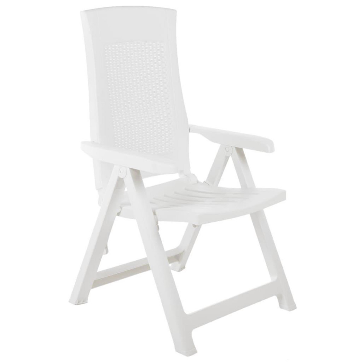 VIDAXL Chaises inclinables de jardin lot de 2 Plastique Blanc