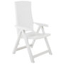 Voir la diapositive 2 : VIDAXL Chaises inclinables de jardin lot de 2 Plastique Blanc
