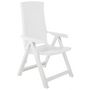 Voir la diapositive 2 : VIDAXL Chaises inclinables de jardin lot de 2 Plastique Blanc