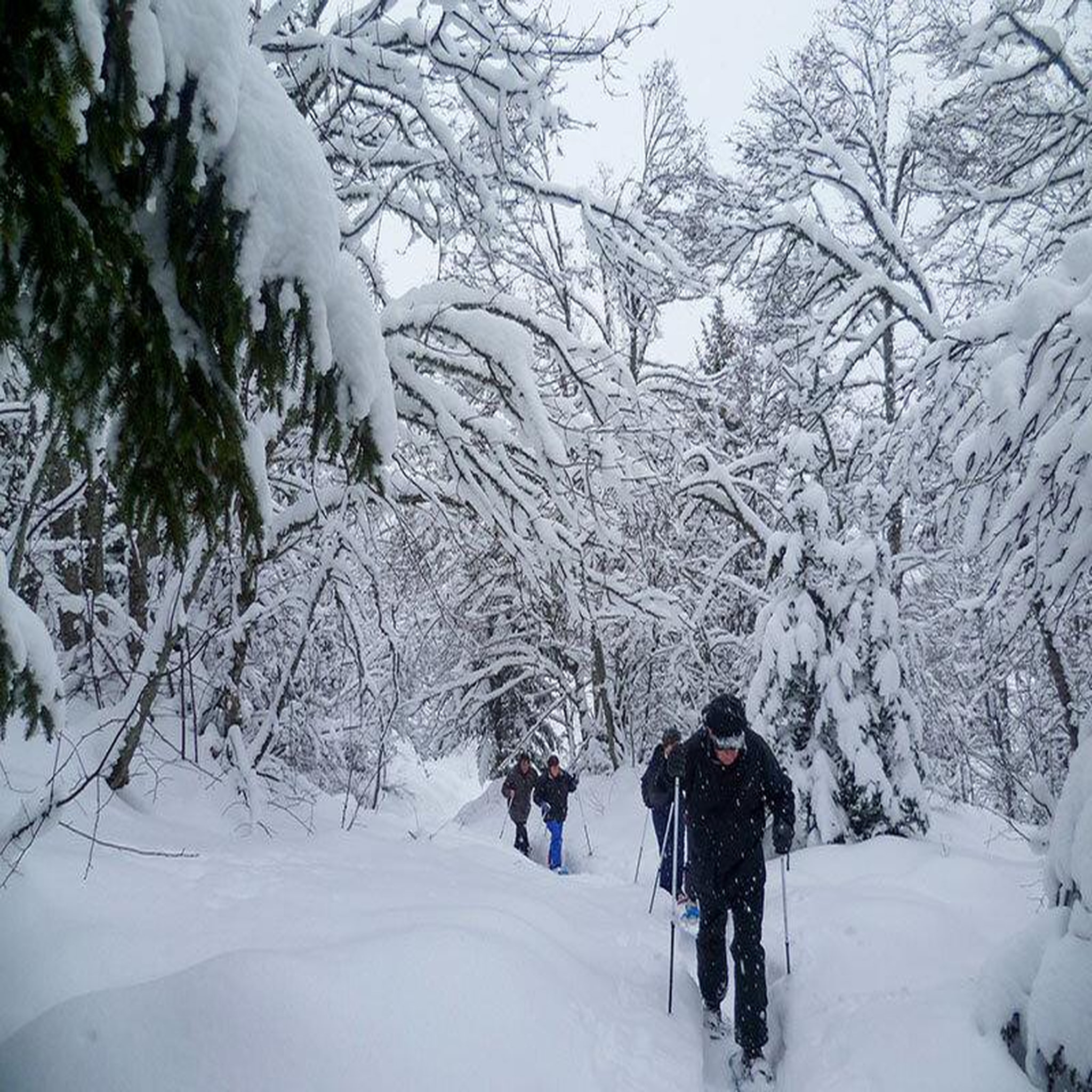 Voir la diapositive 3 : Smartbox Randonnée en raquettes de 2 jours avec un guide près de val thorens pour 2 personnes - coffret cadeau sport & aventure