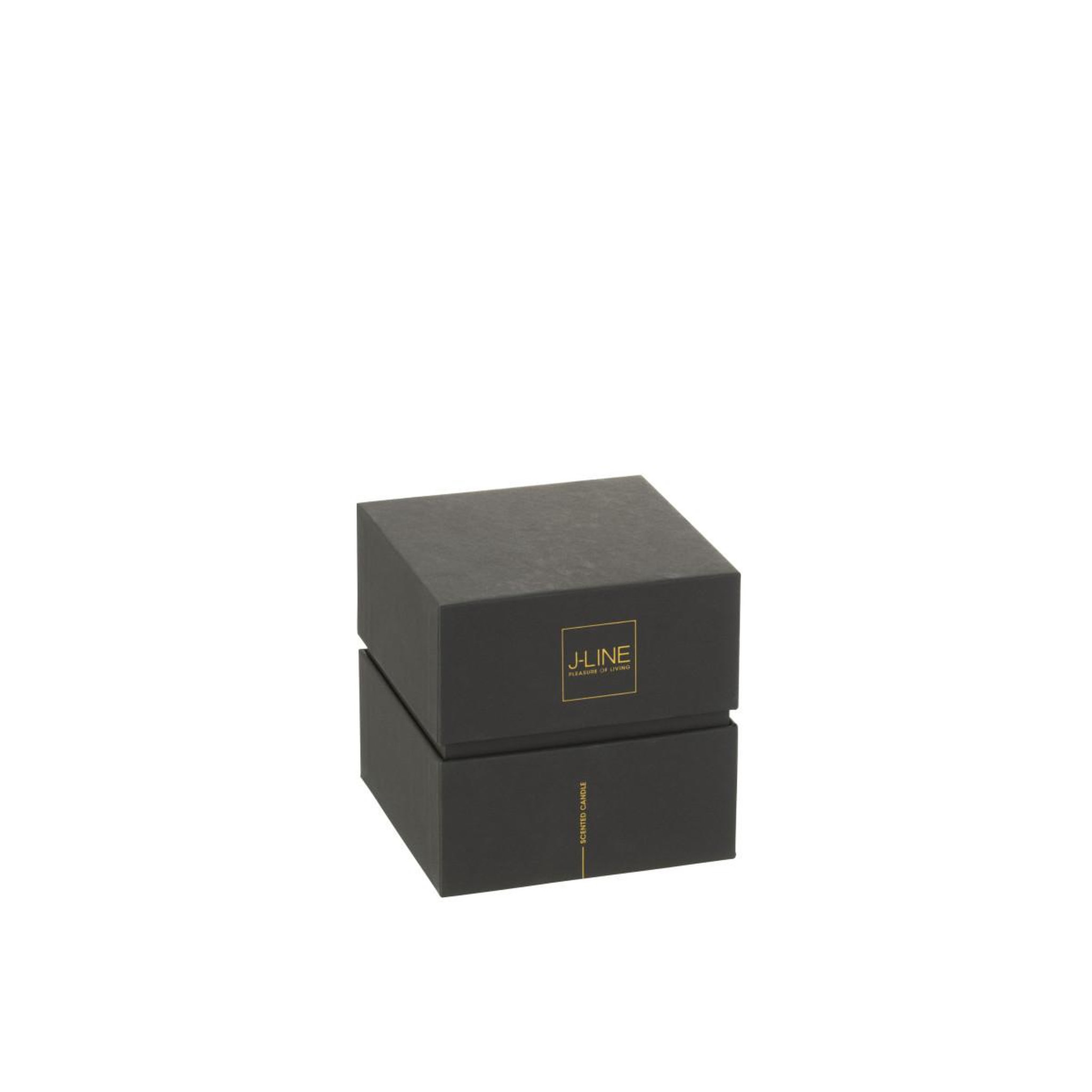 Voir la diapositive 4 : J-LINE Bougie parfumée  noa  12cm bois de santal vert
