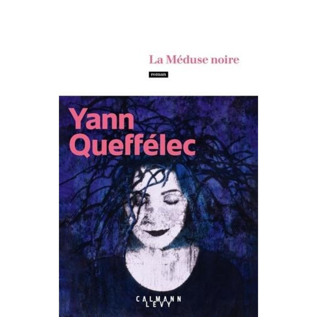 LA MEDUSE NOIRE, Queffélec Yann