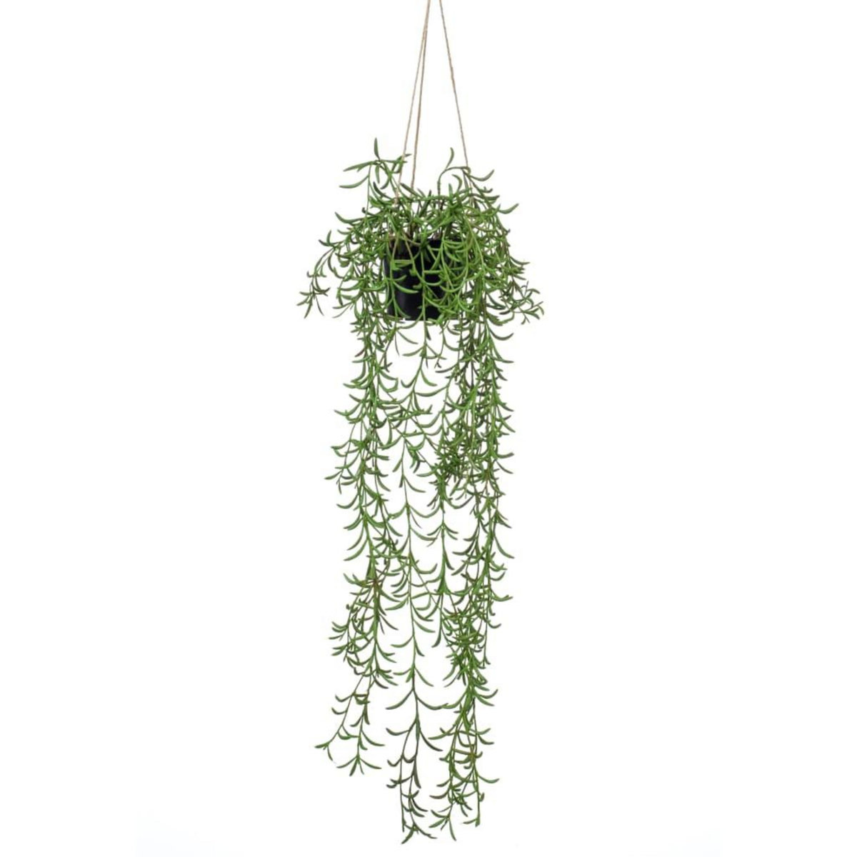 EMERALD Emerald Buisson suspendu senecio artificiel en pot 70 cm