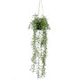 Voir la diapositive 1 : EMERALD Emerald Buisson suspendu senecio artificiel en pot 70 cm