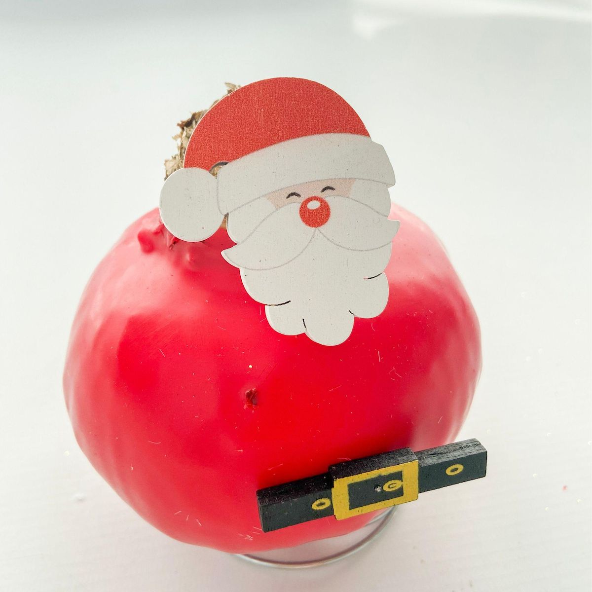 PLANT IN A BOX Amaryllis - Hippeastrum 'Spécial Cire Père Noël'