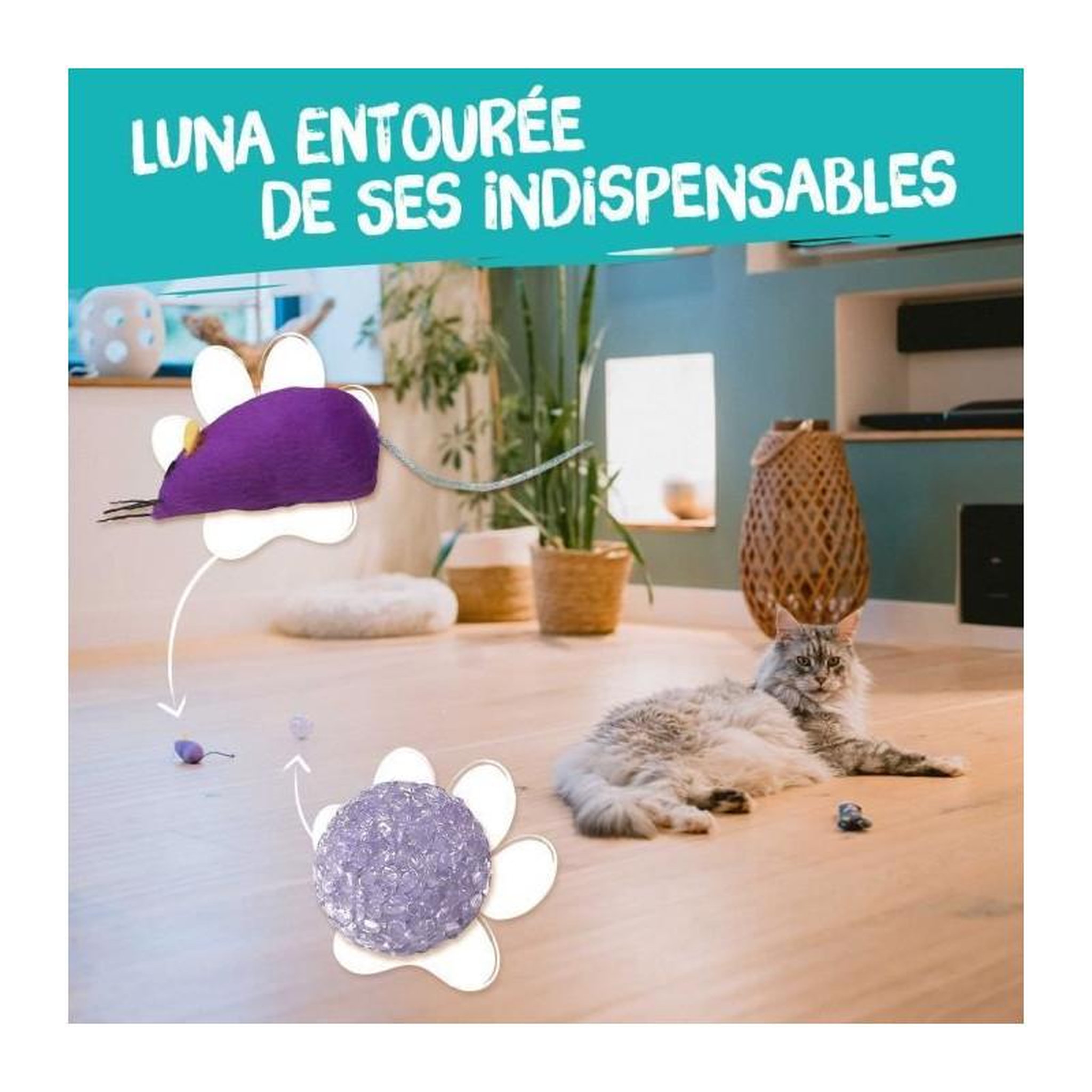 Voir la diapositive 5 : AIME 7 jouets pour Chat - AIMÉ