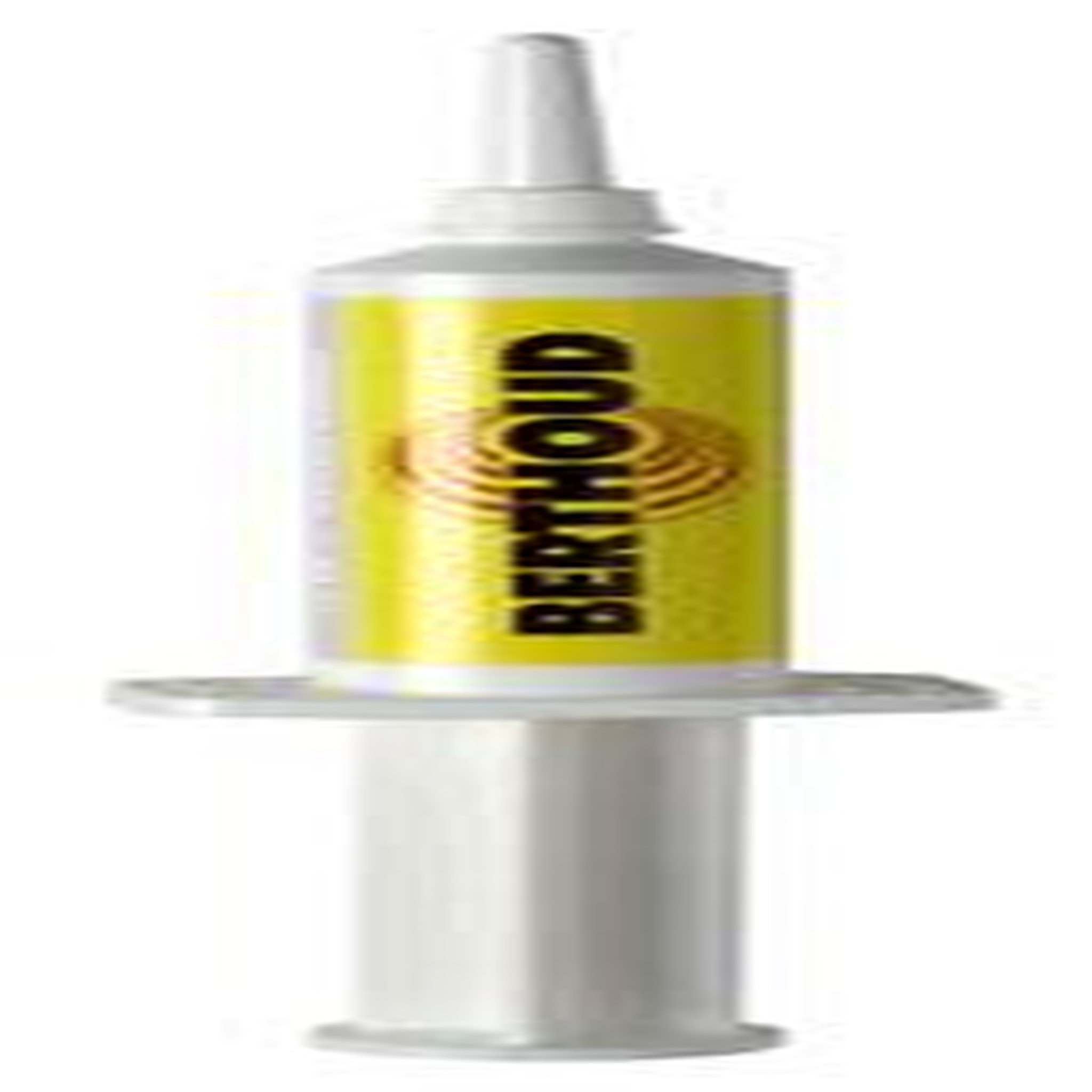 Berthoud Seringue graisse silicone  10 g