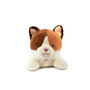 Voir la diapositive 1 : Histoire D'Ours Peluche Chat allongee - Les P'tits Relax - 22 cm